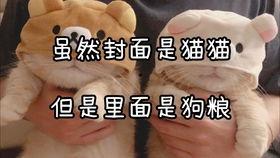 制作狗粮视频,从原料到成品