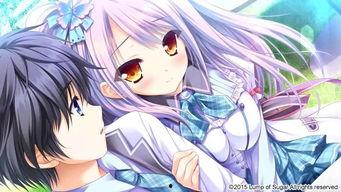 游魂2视频,探寻幽冥世界的惊悚之旅